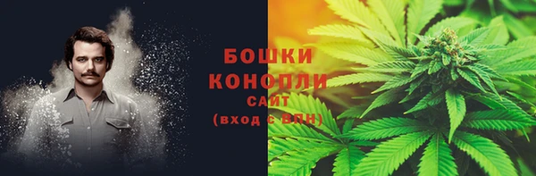 прущие грибы Абдулино