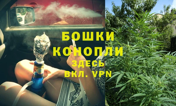 прущие грибы Абдулино