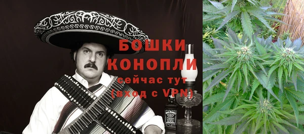 прущие грибы Абдулино