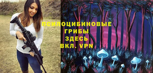 прущие грибы Абдулино