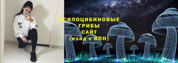 прущие грибы Абдулино